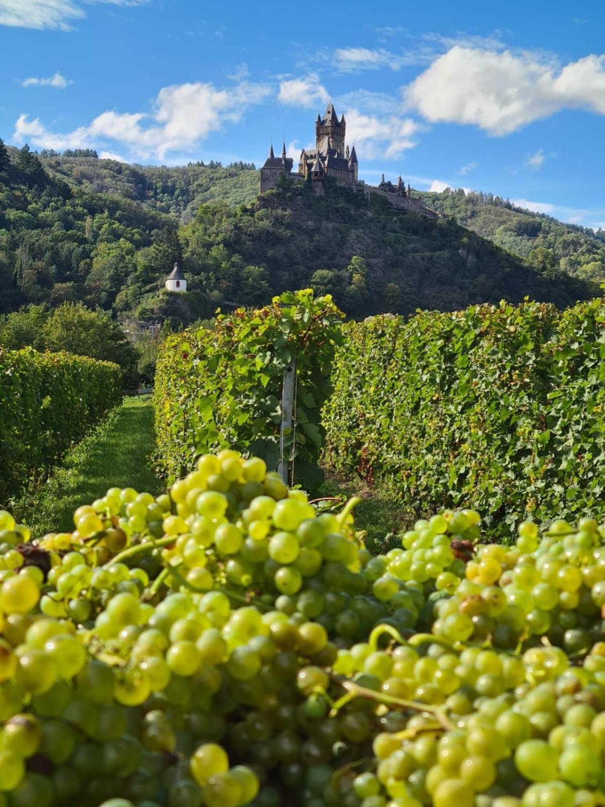 Weingut Gaestehaus Bach Cochem Bagian luar foto